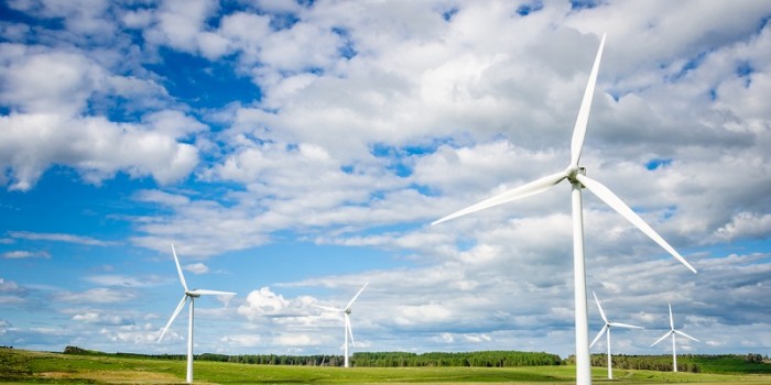 Windcloud 4.0: „Bio-Markt zu Aldi-Preisen“