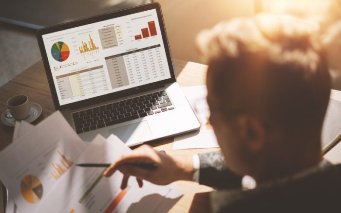 SAP Consultant: Karriereweg vom Einsteiger zum Manager