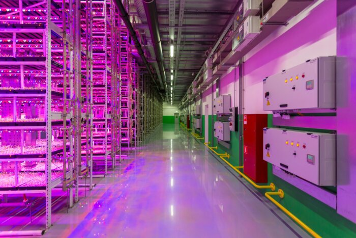 Zuckerberg will Superintelligenz für alle schaffen