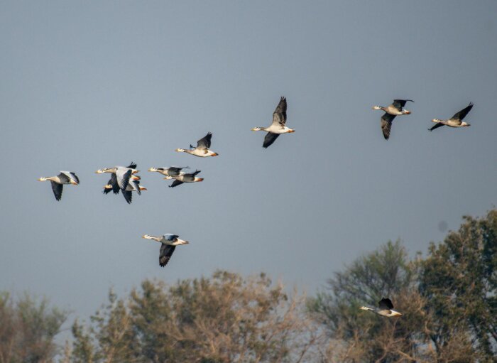 SAP S/4HANA Cloud: ERP-Migration ohne Kontrollverlust