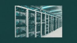 Certificats TLS à la main ? En 2026, c’est terminé